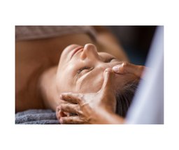 Holistic Express Facial service