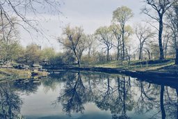 Online Counselling service