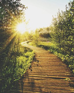 Online Psychotherapy service